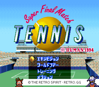 Game screenshot of Super Final Match Tennis