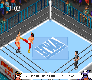 Game screenshot of Super Fire Pro Wrestling